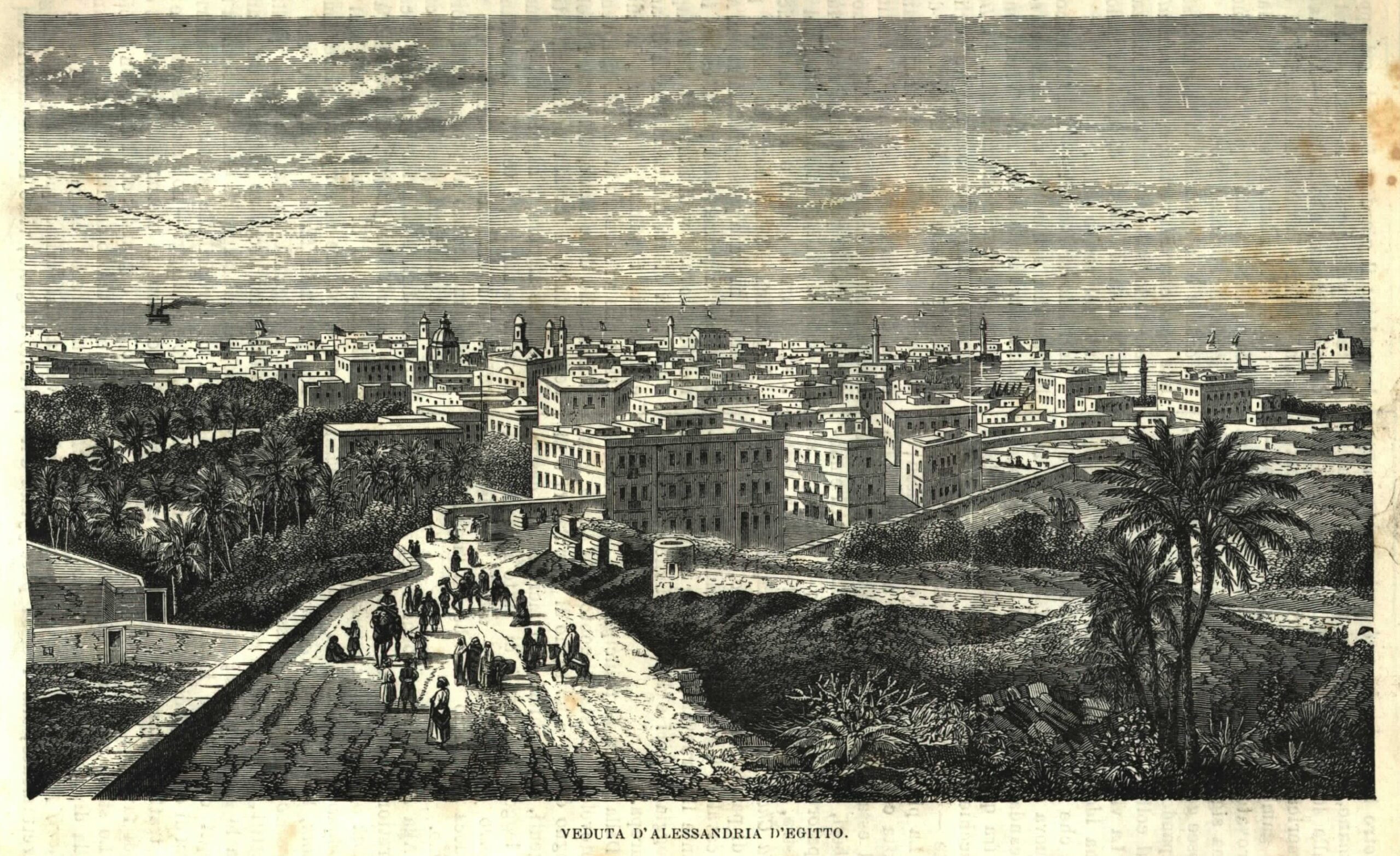 The Amazing Tale of The Ancient Library of Alexandria: Part 2